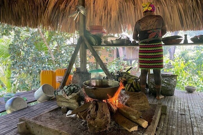 Panama City: Embera Indian Village and Waterfall Tour with Lunch