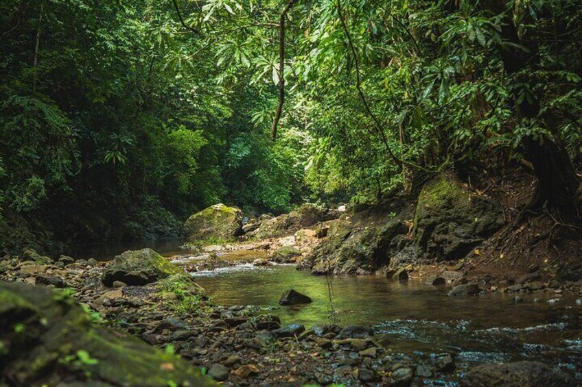 Visit to Embera Indigenous Village and River with Waterfall All Inclusive
