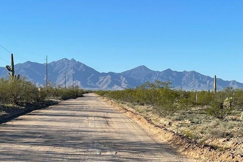 The road in to the cottage. Look at that view of the Santa Rita Mountains. Mexico is on the other side!