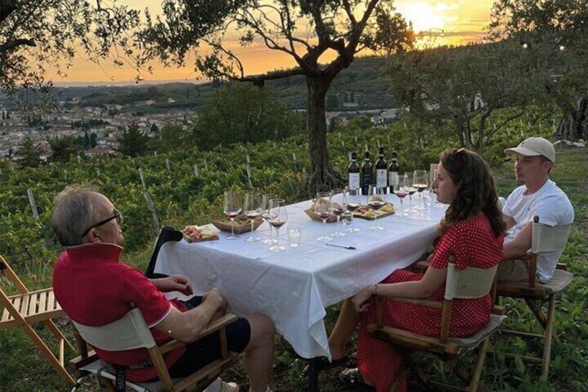 Tasting of 4 organic wines on Valpolicella Classica Hills