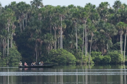 Puerto Maldonado: Sandoval Lake Full-Day Trip with Canoeing