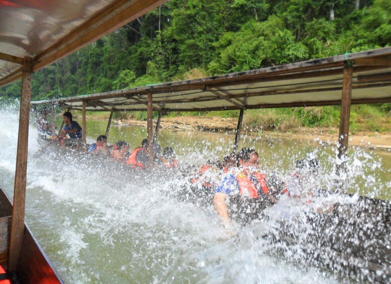 Picture 4 for Activity From Kuala Lumpur: Taman Negara National Park Day Tour