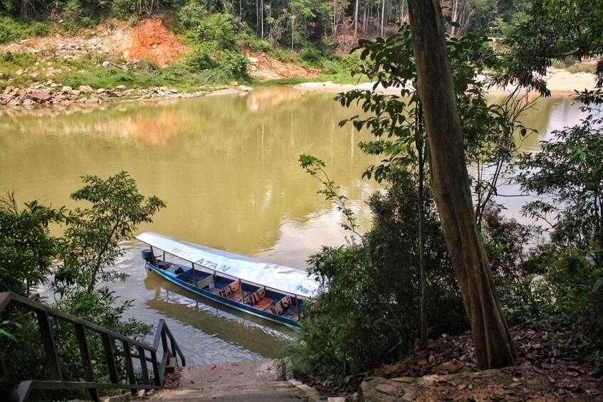 Picture 8 for Activity From Kuala Lumpur: Taman Negara National Park Day Tour