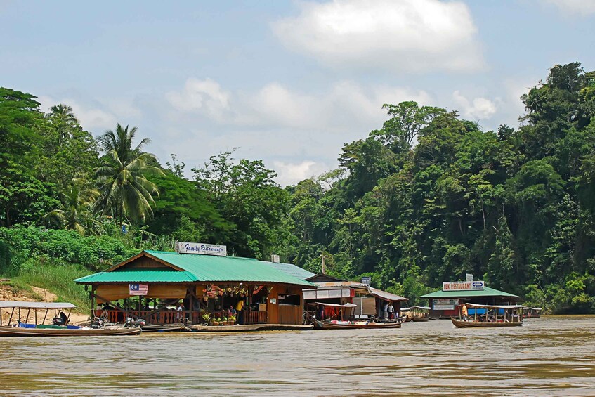 Picture 9 for Activity From Kuala Lumpur: Taman Negara National Park Day Tour