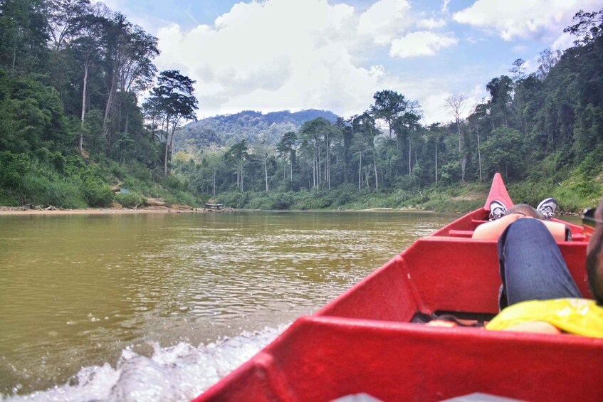 Picture 5 for Activity From Kuala Lumpur: Taman Negara National Park Day Tour