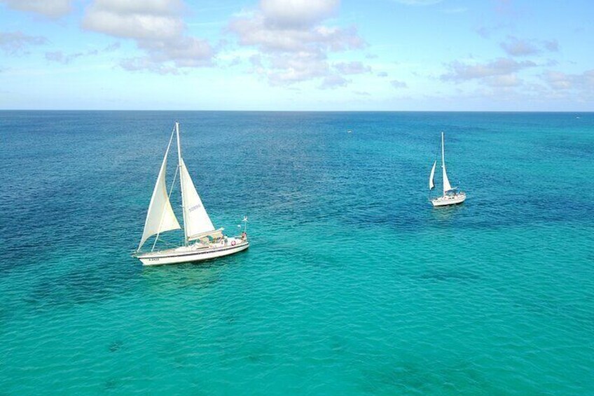 Blue Parrot Snorkel Sail with 4 course lunch or dinner in Aruba