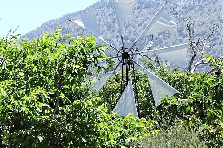 Small Group Guided Tour to Lasithi Plateau and Zeus Cave