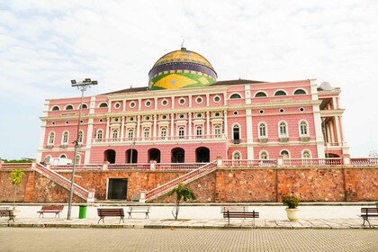 Manaus: Halbtägige Stadtrundfahrt