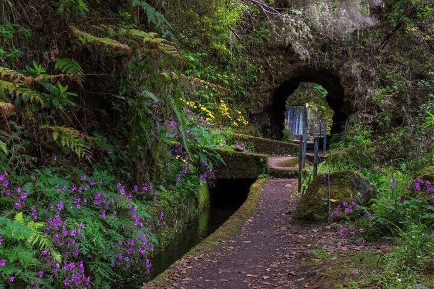 My Next Adventure: Full day Tailored Madeira Exploration
