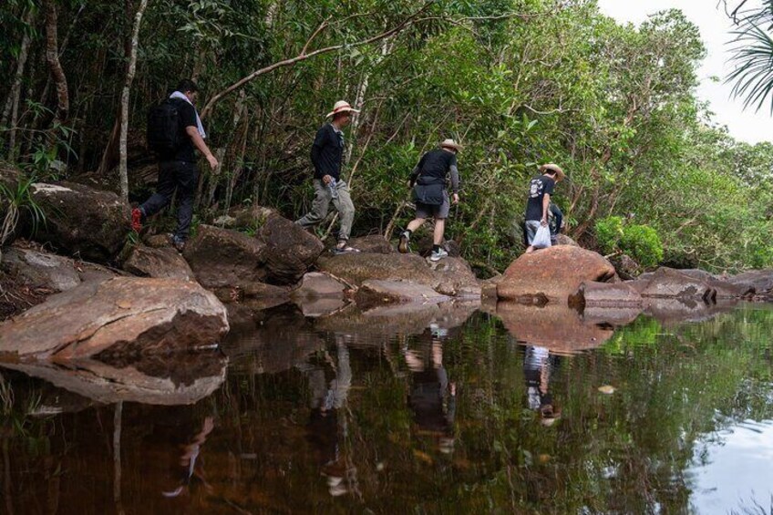 Private Trekking Tour in Phuquoc Primeval Forest and Picnic Lunch