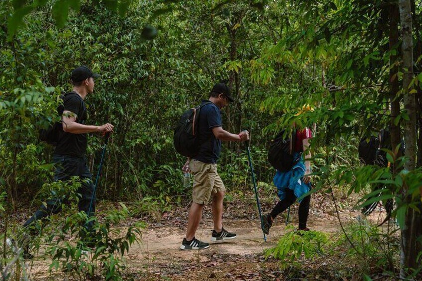 Private Trekking Tour in Phuquoc Primeval Forest and Picnic Lunch