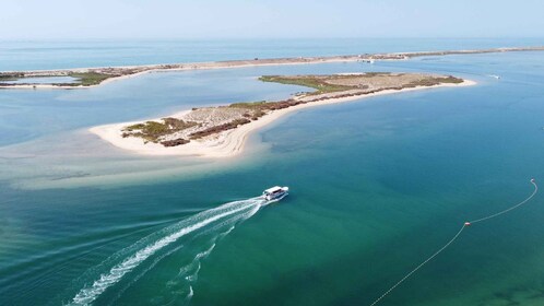 Desde Fuzeta: viaje en barco de 2 horas por el sureste de Ria Formosa