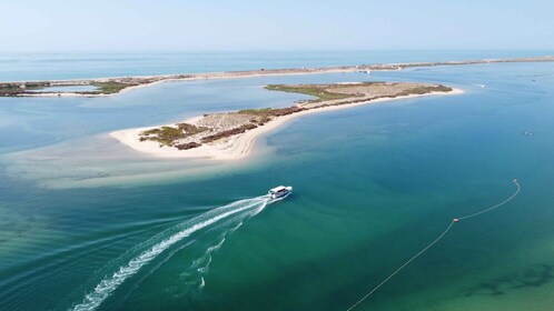 Desde Fuzeta: viaje en barco de 2 horas por el sureste de Ria Formosa