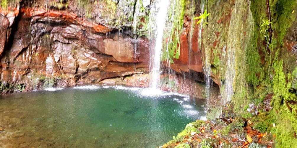 Picture 1 for Activity Madeira: Mountain Walk with Lagoon and Waterfalls