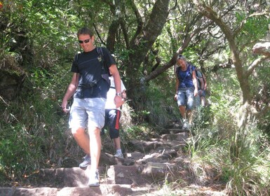 Madeira: Fjellvandring med lagune og fossefall