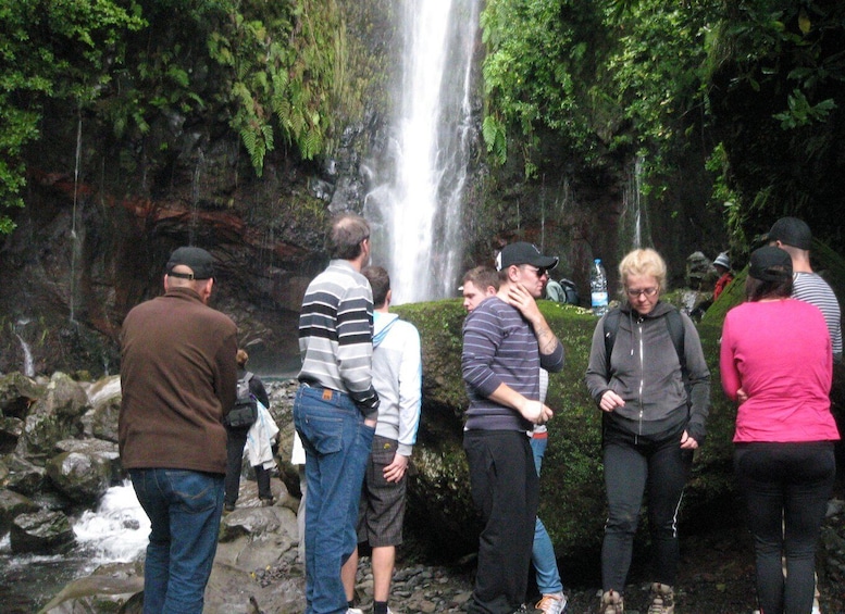 Picture 8 for Activity Madeira: Mountain Walk with Lagoon and Waterfalls