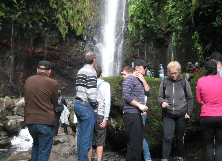 Picture 8 for Activity Madeira: Mountain Walk with Lagoon and Waterfalls