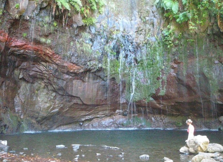 Picture 3 for Activity Madeira: Mountain Walk with Lagoon and Waterfalls