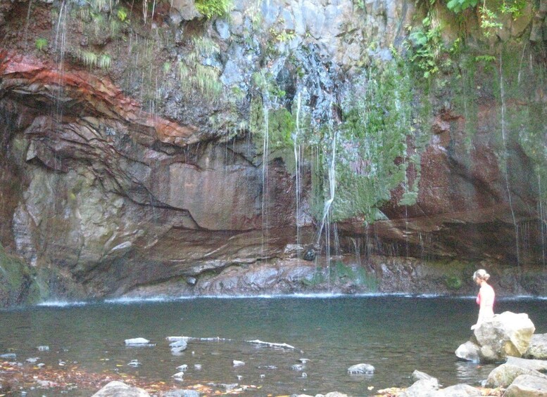 Picture 3 for Activity Madeira: Mountain Walk with Lagoon and Waterfalls