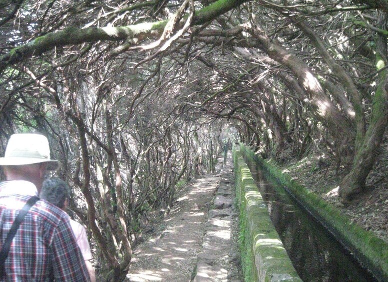 Picture 4 for Activity Madeira: Mountain Walk with Lagoon and Waterfalls