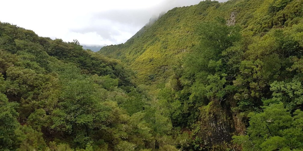 Picture 6 for Activity Madeira: Mountain Walk with Lagoon and Waterfalls