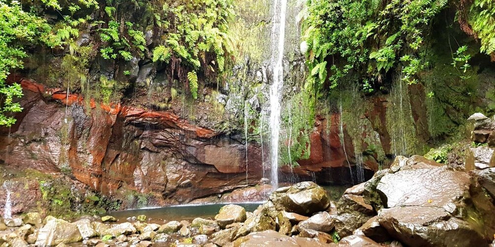 Picture 5 for Activity Madeira: Mountain Walk with Lagoon and Waterfalls