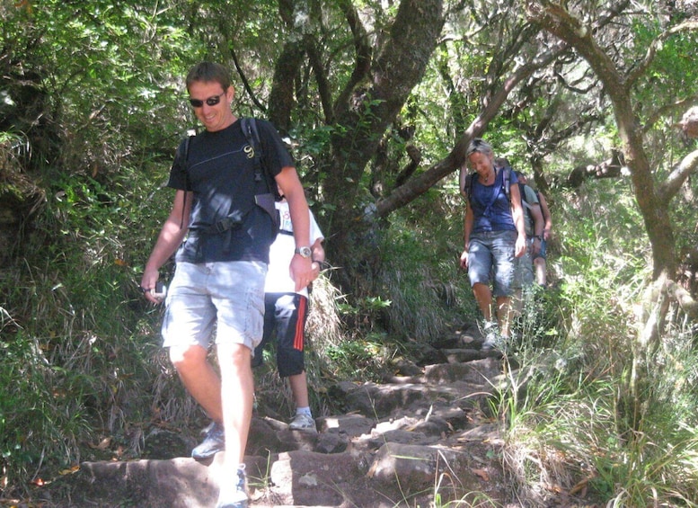 Picture 2 for Activity Madeira: Mountain Walk with Lagoon and Waterfalls