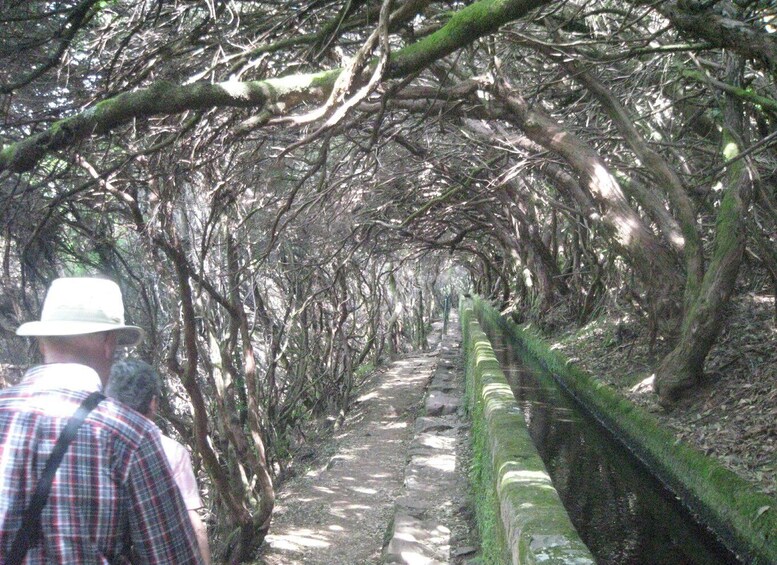 Picture 4 for Activity Madeira: Mountain Walk with Lagoon and Waterfalls