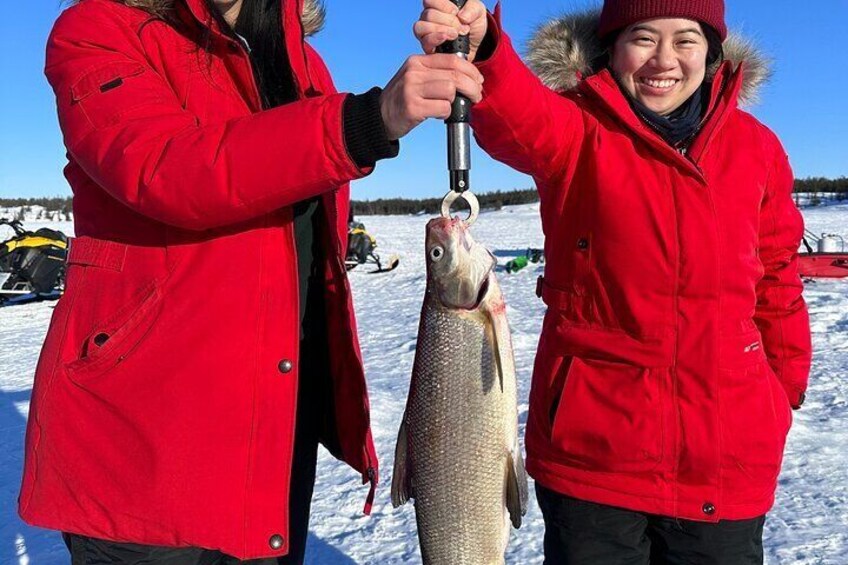 Wilderness Ice Fishing in Yellowknife