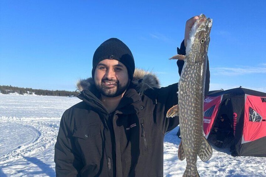 Wilderness Ice Fishing in Yellowknife