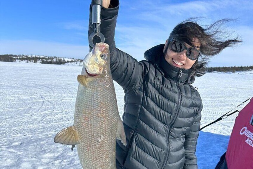 Wilderness Ice Fishing in Yellowknife