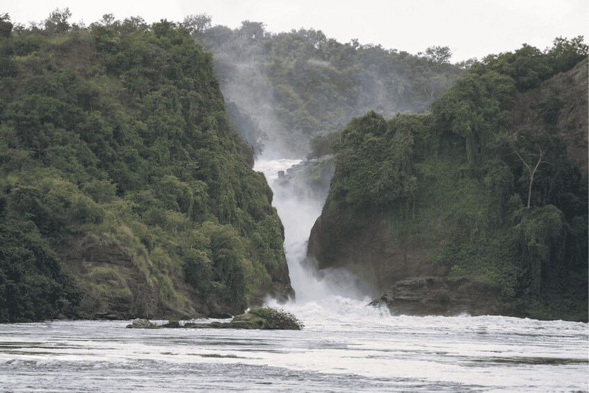 Picture 16 for Activity Kampala: 2-Day Murchison Falls National Park Safari