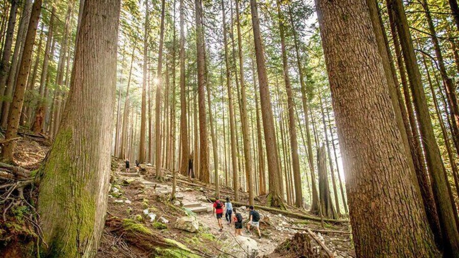 Hike the Grouse Grind Trail