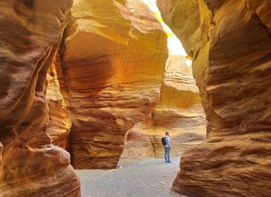 Från Eliat: Guidad tur till Red Canyon