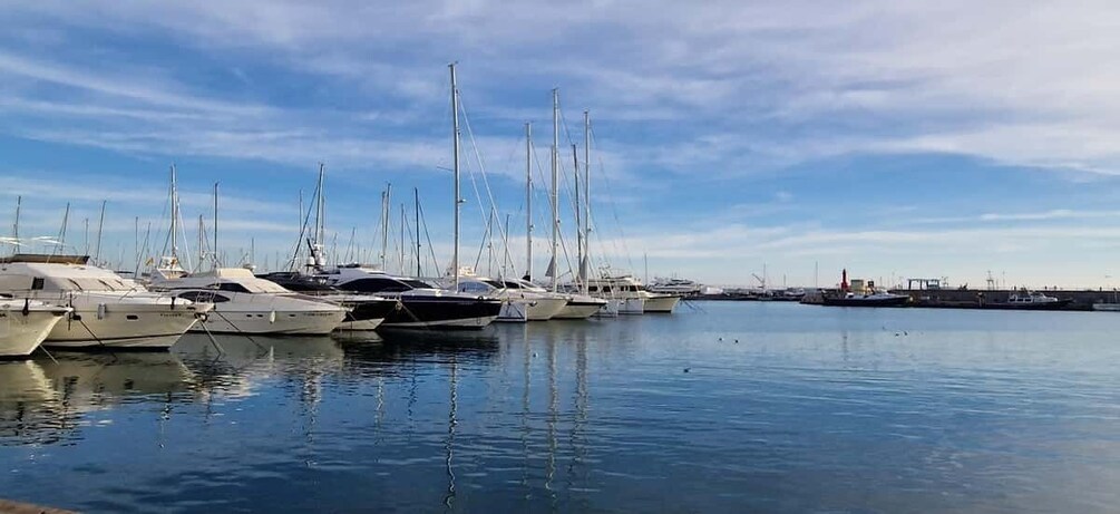 Picture 5 for Activity Cambrils: private catamaran luxury 3h drinks,snacks pickup