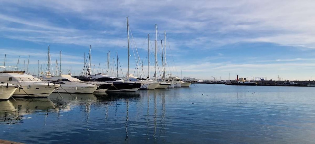 Picture 14 for Activity Cambrils: private catamaran luxury 3h drinks,snacks pickup