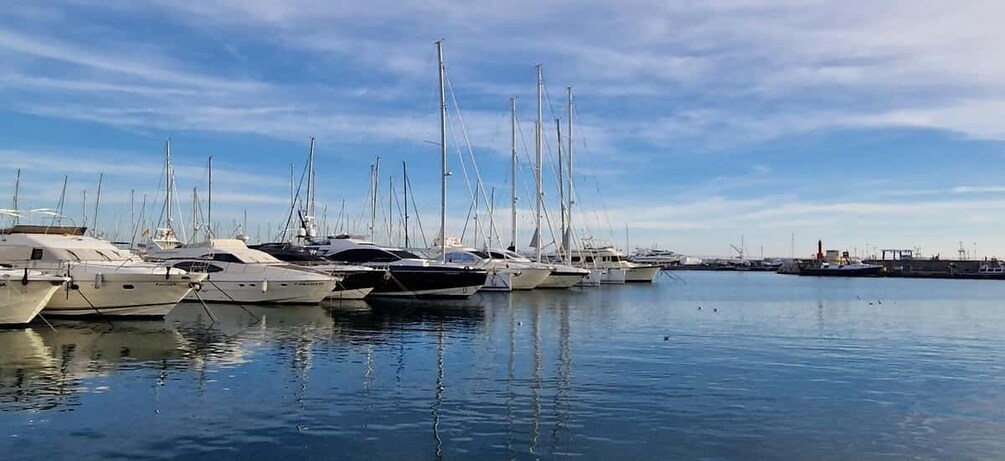 Picture 5 for Activity Cambrils: private catamaran luxury 3h drinks,snacks pickup