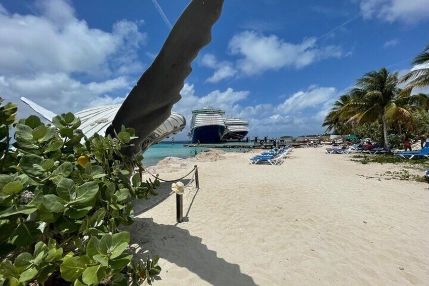 Beach whale #grand Turk cruise center 