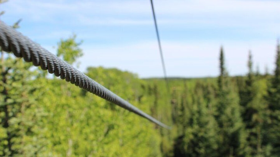 View down "Haulin' Aspen" aka Line #2.