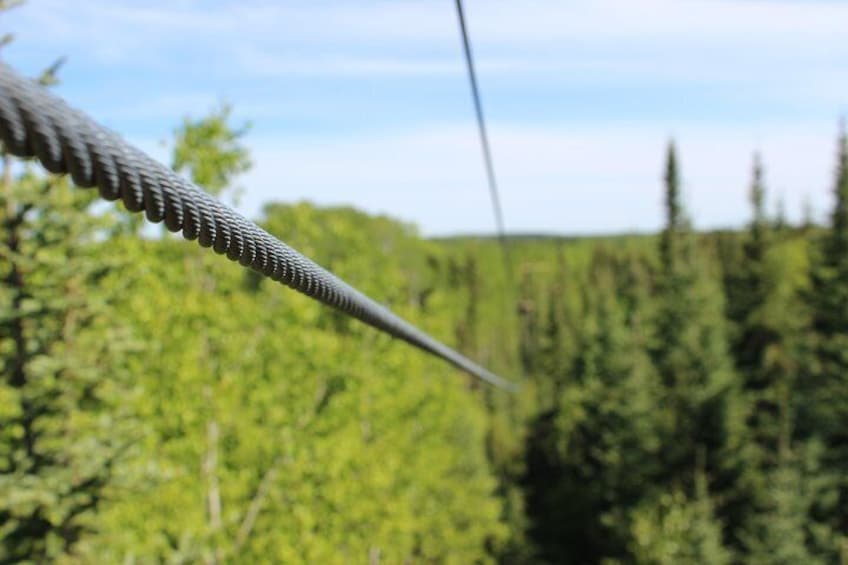 View down "Haulin' Aspen" aka Line #2.