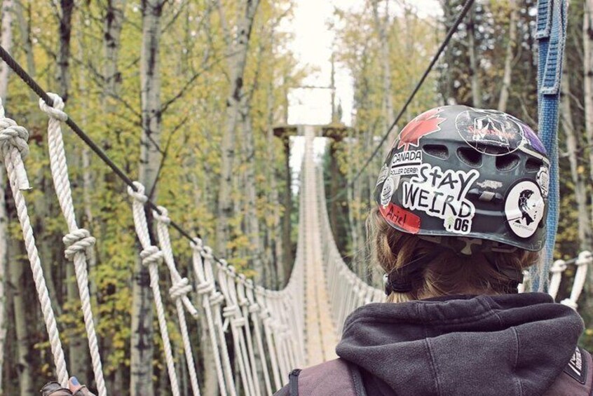 Arne's Ascent, one of two 160 ft long skybridges you conquer during the zipline tour.