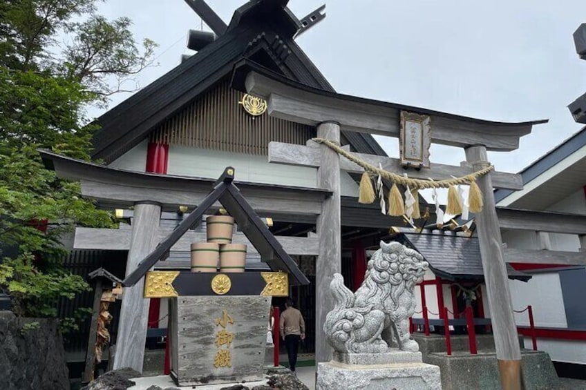 Private Mt Fuji and Hakone Day Tour from Tokyo