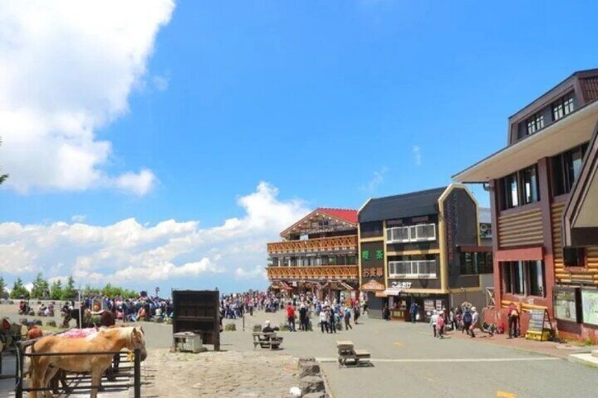 Private Mt Fuji and Hakone Day Tour from Tokyo