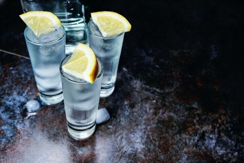 Szczecin Private Vodka Tasting Tour