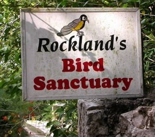 Santuario de aves de Rocklands: tour de 2 horas por Montego Bay