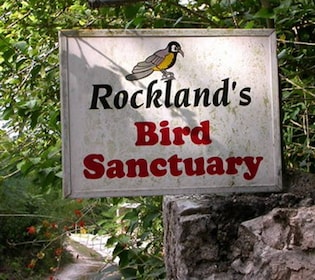 Rocklands Bird Sanctuary: Bayn 2-tunnin retki