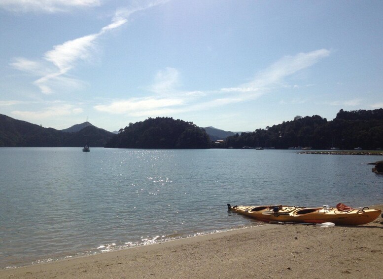 Picture 2 for Activity Marlborough Sounds Guided Kayak and Freedom Walk Tour