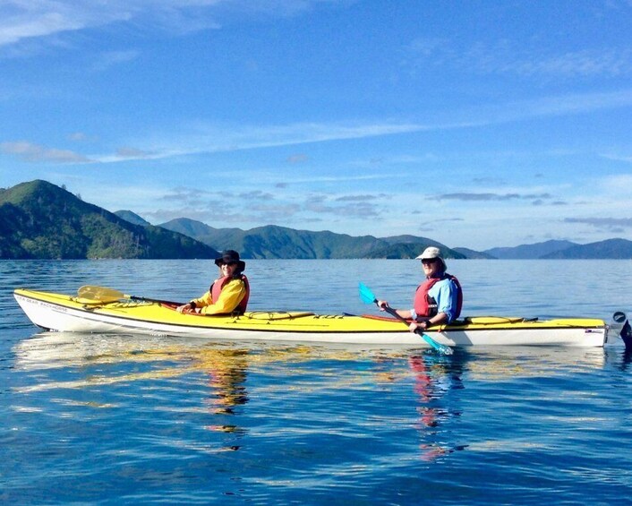 Picture 1 for Activity Marlborough Sounds Guided Kayak and Freedom Walk Tour