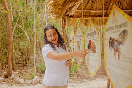 Cozumel: ทางเข้าทั่วไปสู่ Mayan Bee Sanctuary