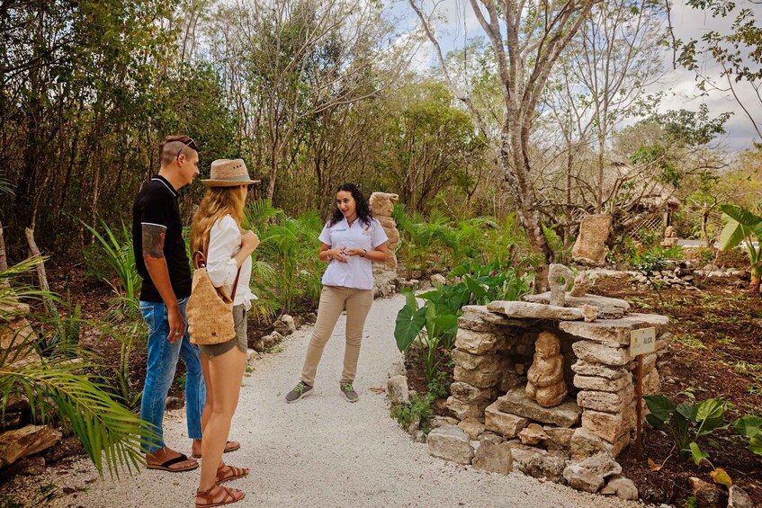 Picture 1 for Activity Cozumel: General Entrance to Mayan Bee Sanctuary